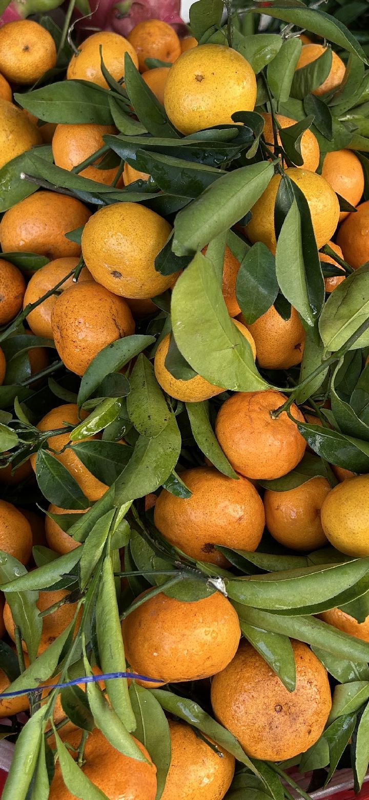 Mandarin
